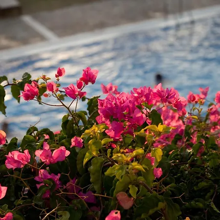 Appart hôtel Antonina Agia Anna (Naxos)