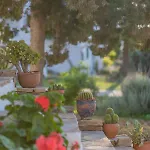 Aparthotel Antonina Agia Anna (Naxos)