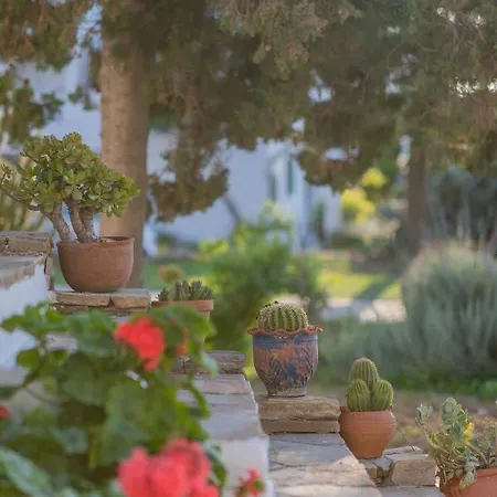 Apartahotel Antonina Agia Anna (Naxos)